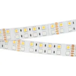 Arlight Лента RT-B144-19mm 24В RGBW-White 32 В/м IP20 5060 5м 32 Вт/м IP20 011823(2)