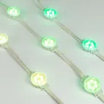 Arlight Модуль управляемый SPI-F6-D40 24В RGB-RAM-Auto 1.25Вт IP68 120 deg 036828