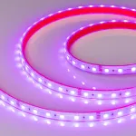 Arlight Лента герметичная RTW-PS-B60-12mm 24В RGB 14.4 В/м IP67 5060 50м 14.4 Вт/м IP67 024587(2)