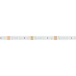 Arlight Лента NT-A60-8mm 12В White6000 4.8 В/м IP20 3528 5м 035698