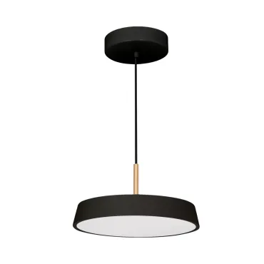 Arlight Светильник SP-ELEGANT-R300-17Вт Day4000 BK 120 deg 230В IP20 033920(1)