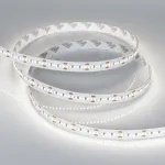 Arlight Лента MICROLED-M300-10mm 24В Day5000 21.6В/м IP20 2216 5м 21.6 Вт/м IP20 023588(1)