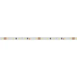 Arlight Лента MICROLED-M120-4mm 24В White6000 9.6 В/м IP20 2216 5м узкая 024410(2)