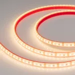 Arlight Лента герметичная RTW-PFS-A120-11mm 12В Warm3000 9.6 В/м IP68 2835 5м 033901