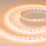 Arlight Лента RT-B60-10mm 12В Orange 14.4 В/м IP20 5060 5м 015972(2)