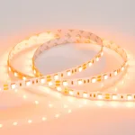 Arlight Лента RT-B60-10mm 12В Orange 14.4 В/м IP20 5060 5м 015972(2)