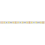 Arlight Лента RT-B60-10mm 12В Cool 8K 14.4 В/м IP20 5060 5м 14.4 Вт/м IP20 013341(2)