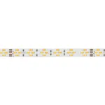 Arlight Лента RT-A240-10mm 24В Warm-MIX 20 В/м IP20 2835 5м Изменяемая ЦТ 038400