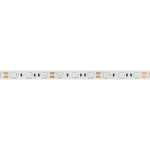 Arlight Лента RT-B60-10mm 12В Red 14.4 В/м IP20 5060 5м 14.4 Вт/м IP20 012343(2)