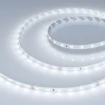 Arlight Лента RT-A60-8mm 24В Cool 8K 4.8 В/м IP20 2835 5м 016147(2)