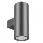 Светильник LGD-RAY-WALL-TWIN-R65-2x9Вт Warm3000 GR 23 deg 230В Arlight IP65 038154