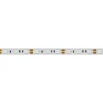 Arlight Лента RT-B60-10mm 12В Orange 14.4 В/м IP20 5060 5м 015972(2)