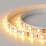 Arlight Лента RT-B60-10mm 12В Orange 14.4 В/м IP20 5060 5м 015972(2)