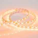 Arlight Лента RT-B60-10mm 12В Orange 14.4 В/м IP20 5060 5м 015972(2)