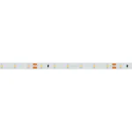 Arlight Светодиодная лента RT-A60-8mm 24В Warm3500 4.8 В/м IP20 2835 5м 034445