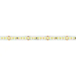 Arlight Лента RT-A168-10mm 24В Warm3500 17 В/м IP20 2835 5м 028602(2)