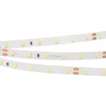 Arlight Лента RT-A60-8mm 24В Cool 8K 4.8 В/м IP20 2835 5м 016147(2)