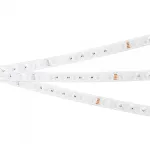 Arlight Лента герметичная FLT-PS-S42-23mm 24В RGB 21 В/м IP67 30deg 5м 037729