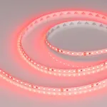 Светодиодная лента RT-A120-8mm 24V Red (9.6W/m, IP20, 2835, 5m, 9.6 Вт/м, IP20) Arlight 008781(2)