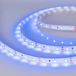 Светодиодная лента RT-A60-8mm 12V Blue (4.8W/m, IP20, 2835, 5m, 4.8 Вт/м, IP20) Arlight 010523(3)