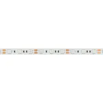 Светодиодная лента RT-B60-10mm 12V Green (14.4W/m, IP20, 5060, 5m, 14.4 Вт/м, IP20) Arlight 012337(2)