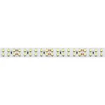 Светодиодная лента Arlight 013474