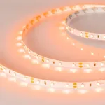 Светодиодная лента RT-A60-8mm 12V Orange (4.8W/m, IP20, 2835, 5m) Arlight 013568(2)