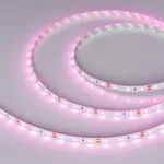 Светодиодная лента RT-A60-8mm 12V Pink (4.8W/m, IP20, 2835, 5m, 4.8 Вт/м, IP20) Arlight 013571(2)