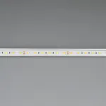 Светодиодная лента Arlight 017456