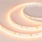 Светодиодная лента Arlight 018111(2)