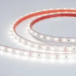 Светодиодная лента герметичная RTW-PS-A60-10mm 12V White6000 (4.8W/m, IP67, 2835, 5m) Arlight 021099(2)