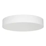 Потолочный светильник Arlight TOR PILL 022131(3)