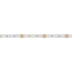 Светодиодная лента Arlight 024424