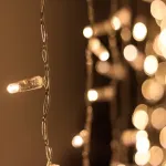 Светодиодная гирлянда Arlight 024857