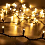 Светодиодная гирлянда ARD-STRING-PRO-10000-BLACK-100LED-FLASH WARM (230V, 7W, Ardecoled, IP65) Arlight 025825