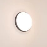 Уличный потолочный светильник Arlight GIRO 32425