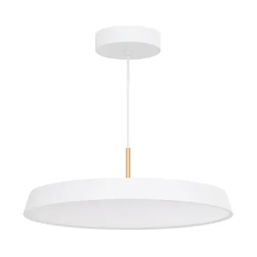 Подвесной светильник Arlight ELEGANT 033925(1) Подвесной светильник Arlight ELEGANT 033925(1)