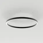 Потолочный светильник Arlight ARC 034004(1)