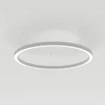 Потолочный светильник Arlight ARC 034008(1)
