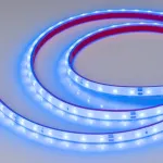 Светодиодная лента герметичная RTW-PFS-A60-11mm 24V Blue (4.8W/m, IP68, 2835, 5m, 4.8 Вт/м, IP68) Arlight 034160