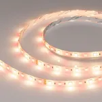 Arlight Светодиодная лента RTW-SE-B60-10mm 24В RGBW-Warm 14.4 В/м IP65 5060 5м 034185