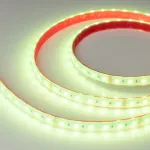 Светодиодная лента RTW-PS-B60-14mm 24V RGBW-Day-4-in-1 (19.2W/m, IP67, 5060, 5m) Arlight 034187