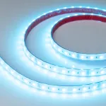 Светодиодная лента RTW-PS-B60-14mm 24V RGBW-Warm-4-in-1 (19.2W/m, IP67, 5060, 5m) Arlight 034188