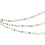 Arlight Лента NT-A120-8mm 12В White6000 9.6 В/м IP20 3528 5м 035704