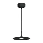 Подвесной светильник Arlight FIORE 35998