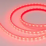 Светодиодная лента герметичная RTW-PFS-B60-13mm 12V Red (14.4W/m, IP68, 5060, 5m, 14.4 Вт/м, IP68) Arlight 036281