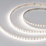 Светодиодная лента RZ-A120-6mm 12V Day4000 (12W/m, IP20, 2835, 5m, 12 Вт/м, IP20) Arlight 036451
