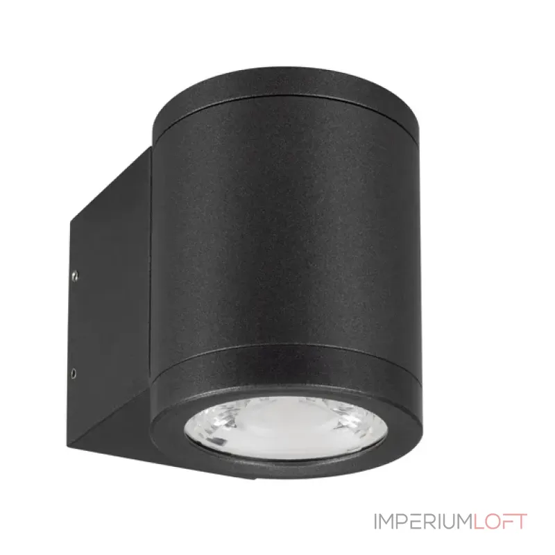 Уличный настенный светильник Arlight RAY 038153(1) Уличный настенный светильник Arlight RAY 038153(1)