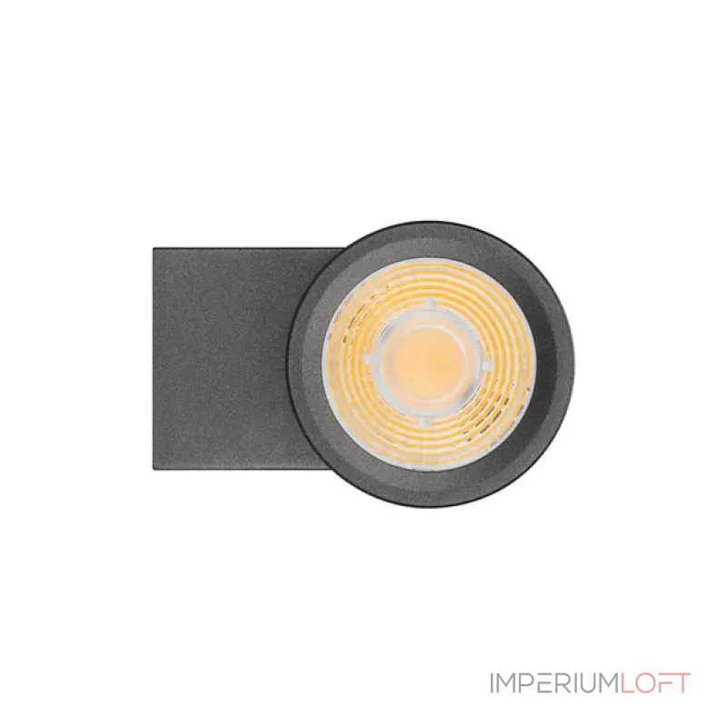 Уличный настенный светильник Arlight RAY 038154(1) Уличный настенный светильник Arlight RAY 038154(1)