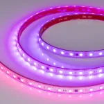 Светодиодная лента герметичная SPI-PS-B60-12mm 24V RGB-PX6-BPT (12W/m, IP67, 5060, 5m, бегущий огонь) Arlight 039181